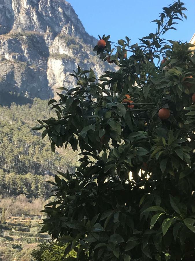 Appartement Casa Nika à Riva del Garda Extérieur photo
